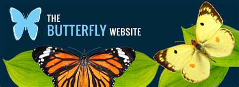 the butterfly website.